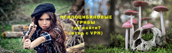 молекула духа Алексин