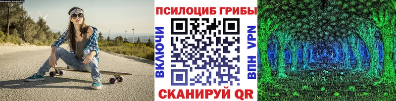 закладка  Кропоткин  Галлюциногенные грибы GOLDEN TEACHER 