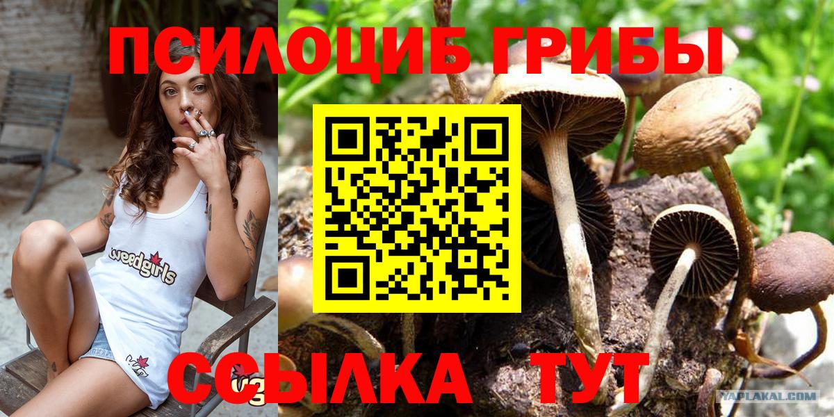 Галлюциногенные грибы GOLDEN TEACHER Кропоткин